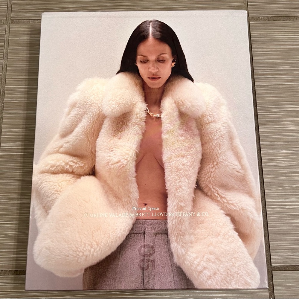 Rare Present Space Tiffany & Co. coffee table book 2025 jewelry fashion